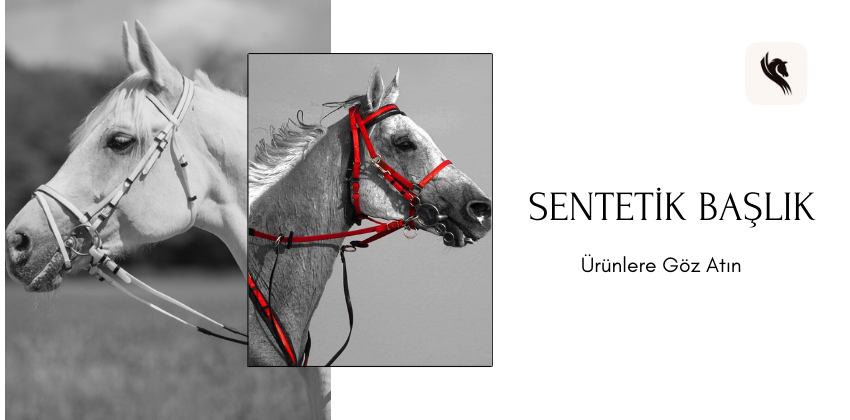 Anemon atcilik promo