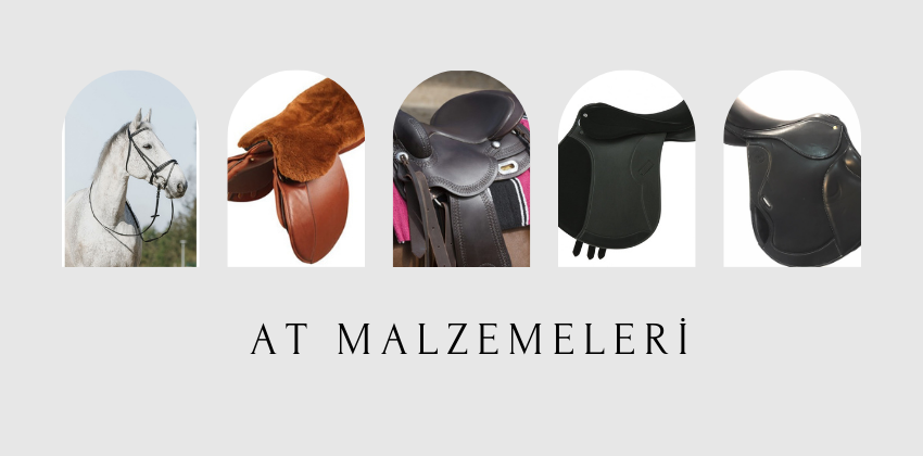 Anemon atcilik promo