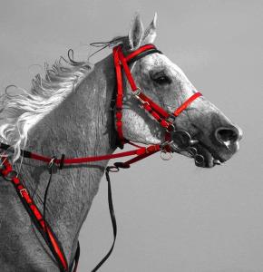 PVC ENDURANCE BAŞLIK